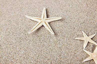 《Palia》开发商4月刚裁员一波 5月又进行一次裁员